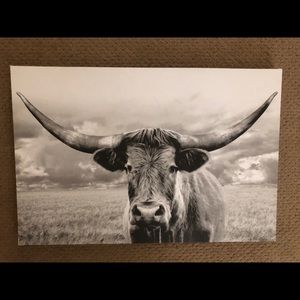 Longhorn Cow Wall Canvas